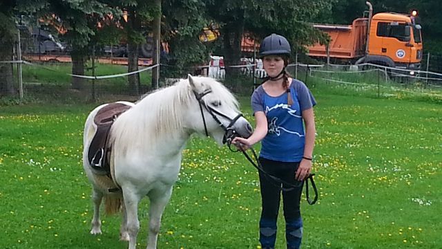 2016_reiter_17
